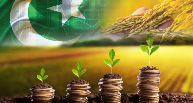 Agriculture-The-Main-Pillar-of-Pakistan-Economy.jpg
